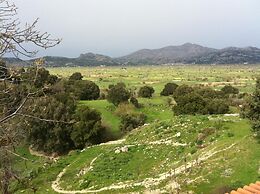 Dionysus Lasithi Plateau