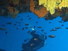 Maya Bistro Hotel Beach