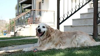 Maya Bistro Hotel Beach