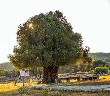 Maya Bistro Hotel Beach