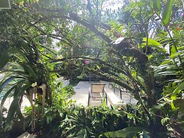 Paradise Hot Springs Thermal Resort