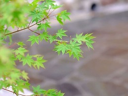Yufuin Ryokan Seikoen