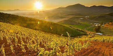 Agriturismo Tarantola