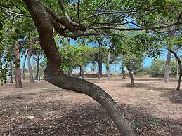 Camping Dolce Vita