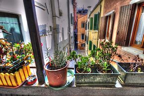 RECIOTO Rialto-Market