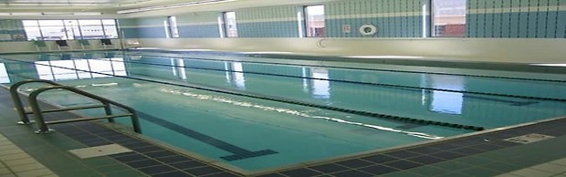 Clean and Cozy Liberty Village