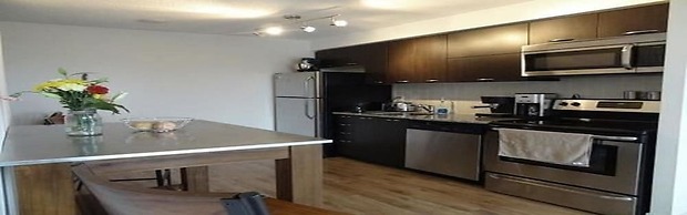 Clean and Cozy Liberty Village