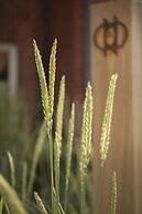 ONNO Hotel by Norman