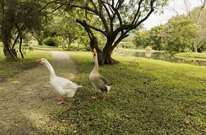 Hotel Internacional Gravatal