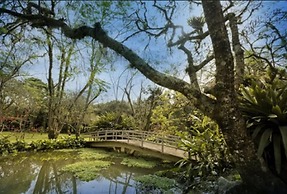 Hotel Internacional Gravatal