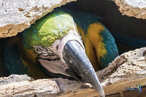 Cabanas Termas Hotel