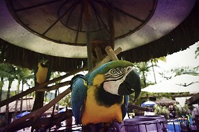 Cabanas Termas Hotel