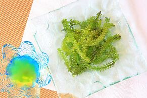 Glamping Resort YOKABUSHI