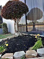 Madison Inn and Suites