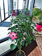 Madison Inn and Suites