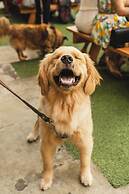 Aloft Austin Downtown