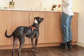 Element Austin Downtown