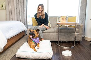 Element Austin Downtown