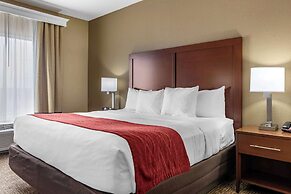 Comfort Inn & Suites Augusta