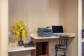 Comfort Inn & Suites Augusta