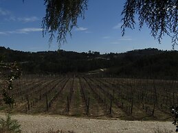 Quinta do Medronheiro Hotel Rural