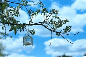 Quinta do Medronheiro Hotel Rural