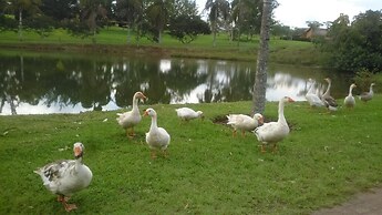 Casa Cerejeira Na Represa Do Broa