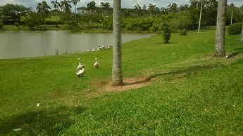 Casa Cerejeira Na Represa Do Broa