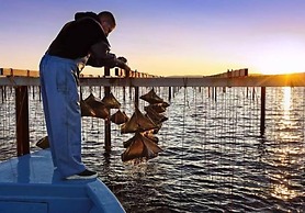 Hôtel La Chaumière