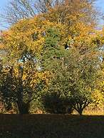 Bjørnegården Landhotel