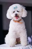 The Reserve at Muckross