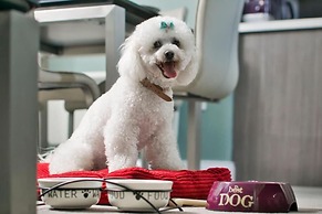 The Reserve at Muckross