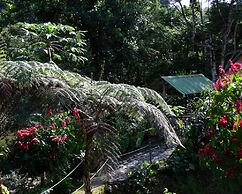 Playa Selva Lodge