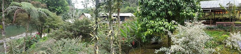 Playa Selva Lodge