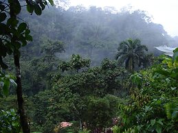 Playa Selva Lodge