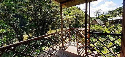 Playa Selva Lodge
