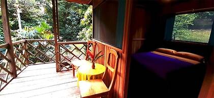 Playa Selva Lodge