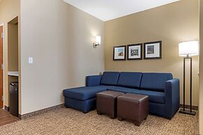 Comfort Suites Greenville South