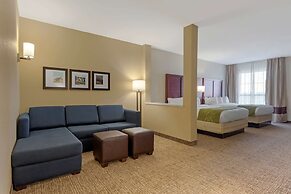 Comfort Suites Greenville South