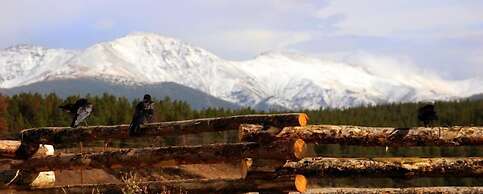 Contemporary Slopeside Condo