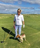 No12 Bed and Breakfast, St Andrews