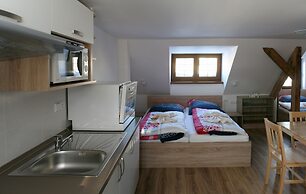 Apartments Stein Boží Dar