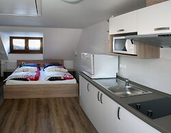 Apartments Stein Boží Dar