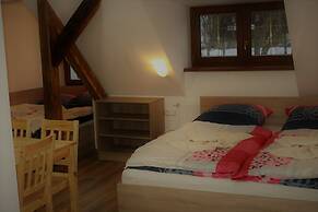 Apartments Stein Boží Dar