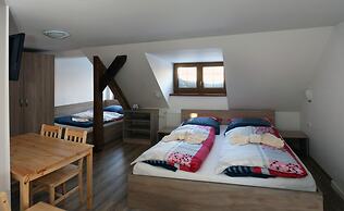 Apartments Stein Boží Dar