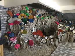 Turtle Cove Island Resort