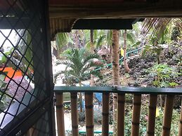 Turtle Cove Island Resort