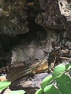 Turtle Cove Island Resort