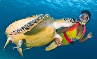 Turtle Cove Island Resort