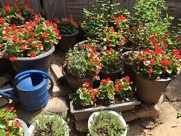 MK guest house - Hostel